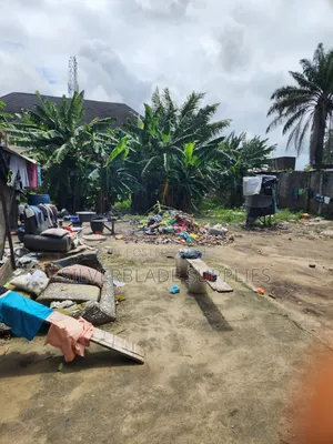 Land to Lease/Rent in Unity Estate, Sangotedo Lekki Lagos