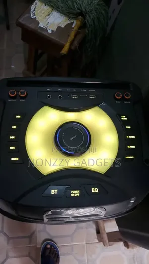 Party Speaker