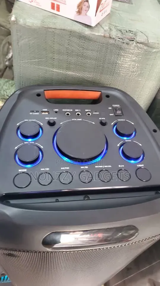Party Speaker