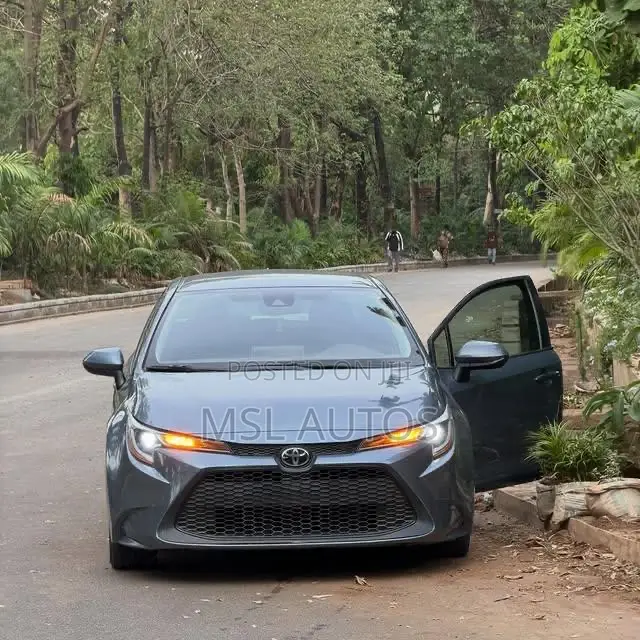 Toyota Corolla LE 2021 Blue