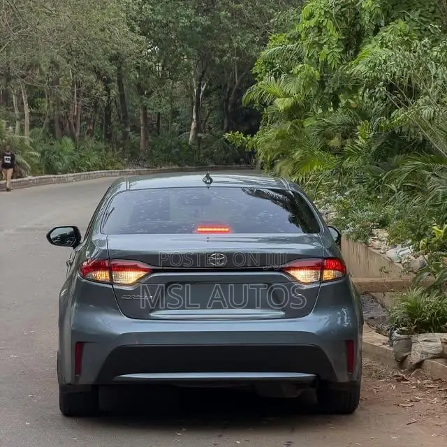 Toyota Corolla LE 2021 Blue