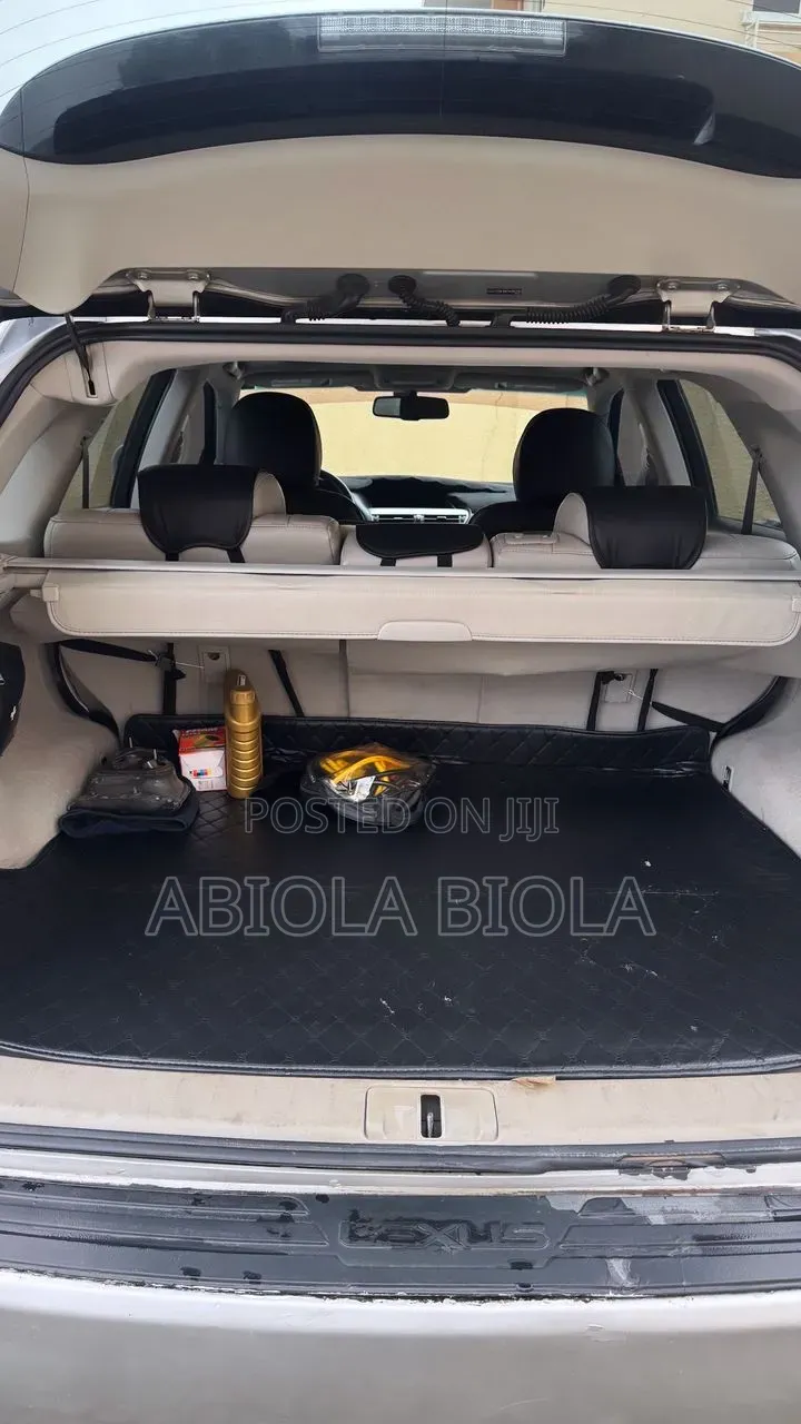 Lexus RX 2010 Silver