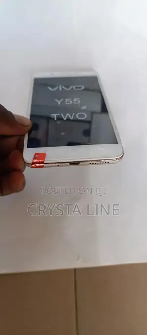 Vivo Y55s (2023) 128 GB Gray
