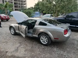 Ford Mustang 2007 Gray