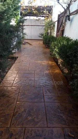 D Dream Floor