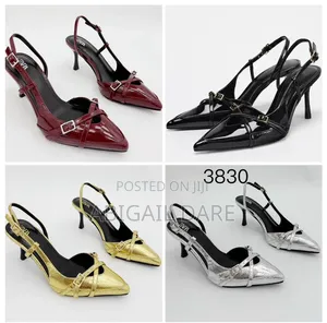 Women Classy Elegant Shoe's