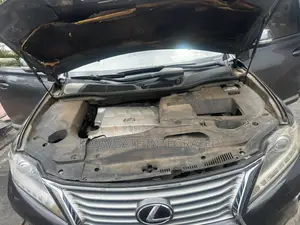 Lexus RX 2014 Gray