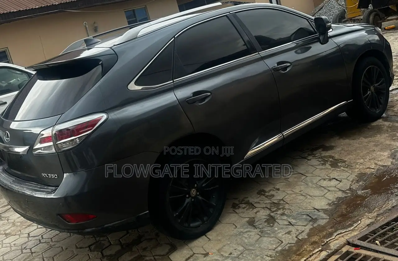Lexus RX 2014 Gray