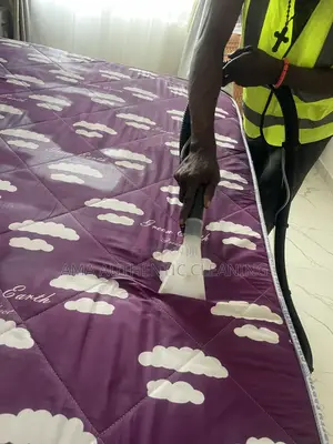 Give Your Bed a Fresh and Spotless Look With Our Professional