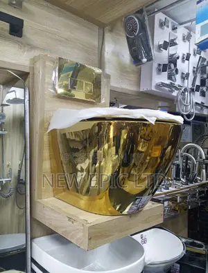 Gold Wall Hung Toilet With Accessories