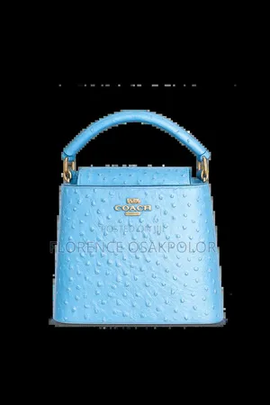 Luxury Coach Bag