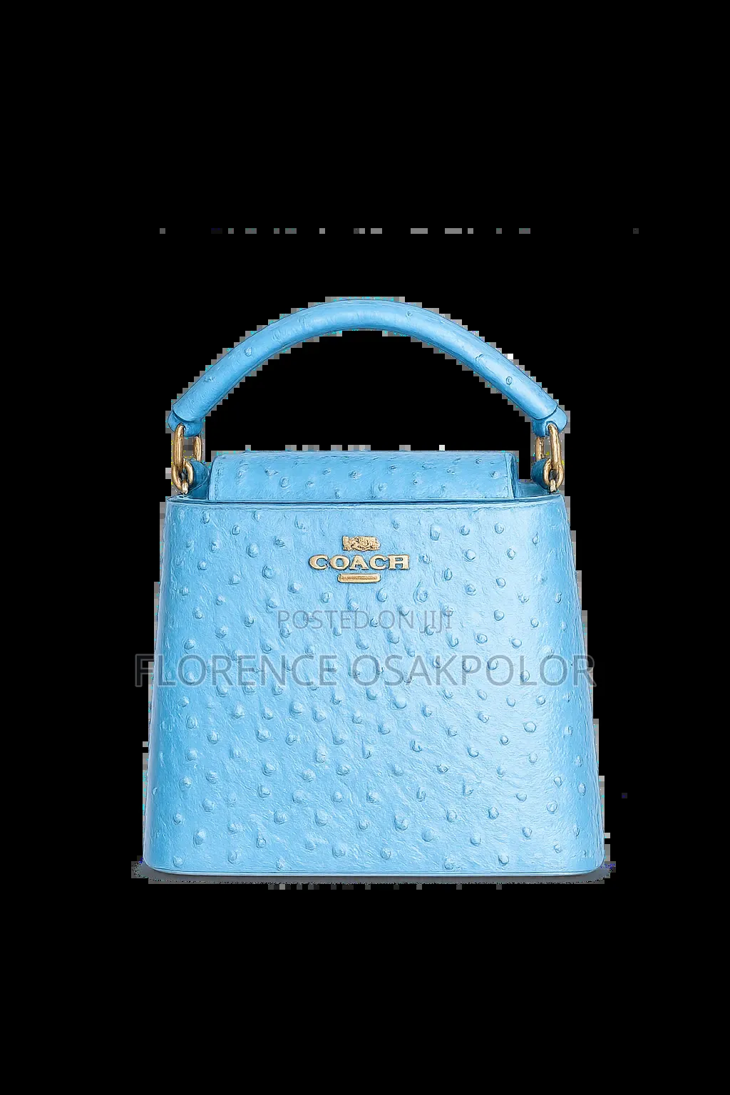 Luxury Coach Bag