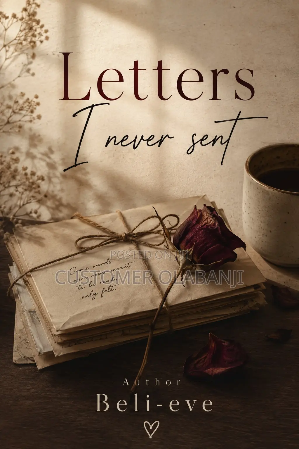 Letters I Never Sent