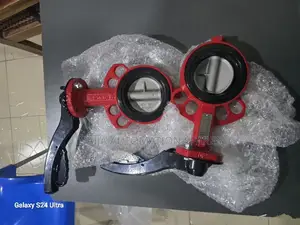 Wafer Butterfly Valve Dn80 Bray