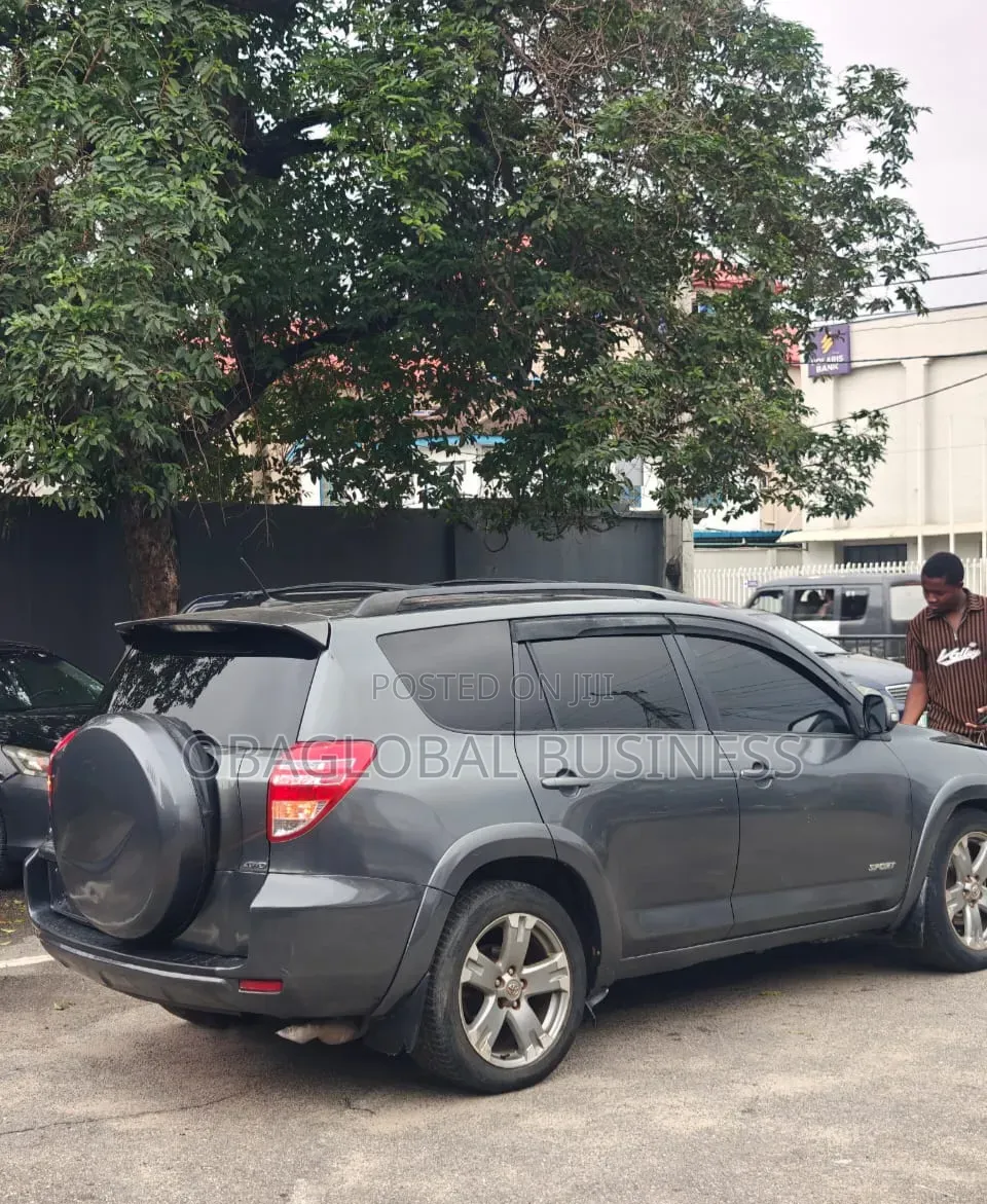Toyota RAV4 2010 Gray
