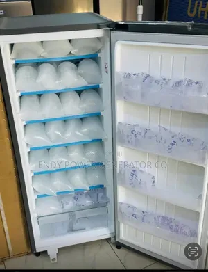 Original Lg Upright Freezer for Ice Block Maker With 10yrs Compressor