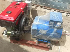 Strong Industrial Pure Copper Basic Generator 30kva