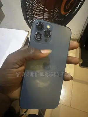 Apple iPhone 12 Pro Max 128 GB Gray