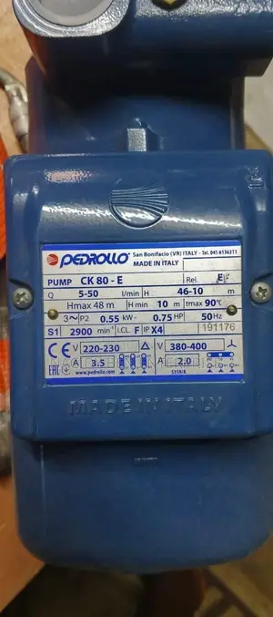 1hp Italy Pedrollo Copper Coil Pump