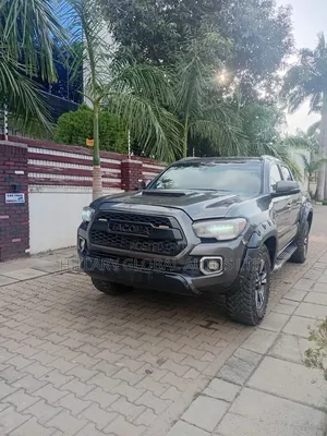 Toyota Tacoma 2019 Gray