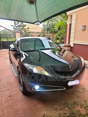 Acura ZDX Base AWD 2010 Gray