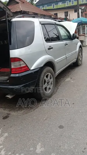 Mercedes-Benz M Class 2002 Silver
