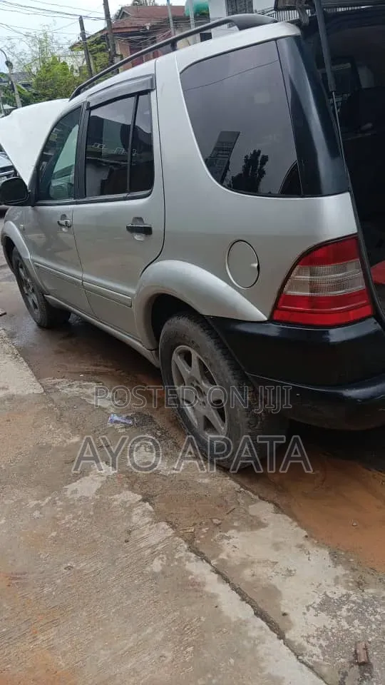 Mercedes-Benz M Class 2002 Silver