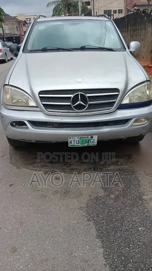 Mercedes-Benz M Class 2002 Silver