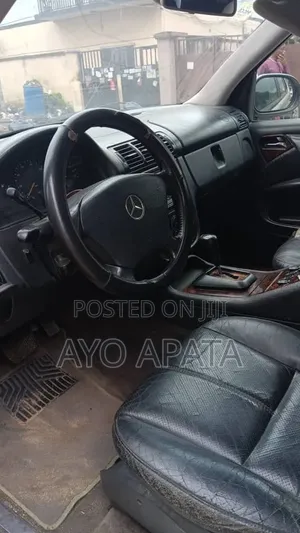 Mercedes-Benz M Class 2002 Silver