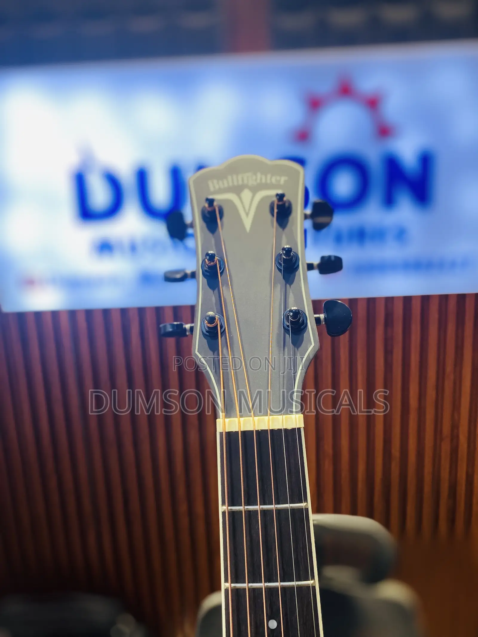 Bullfighter Electro Acoustic Guitar