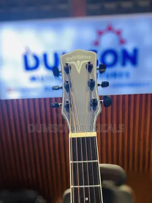 Bullfighter Electro Acoustic Guitar