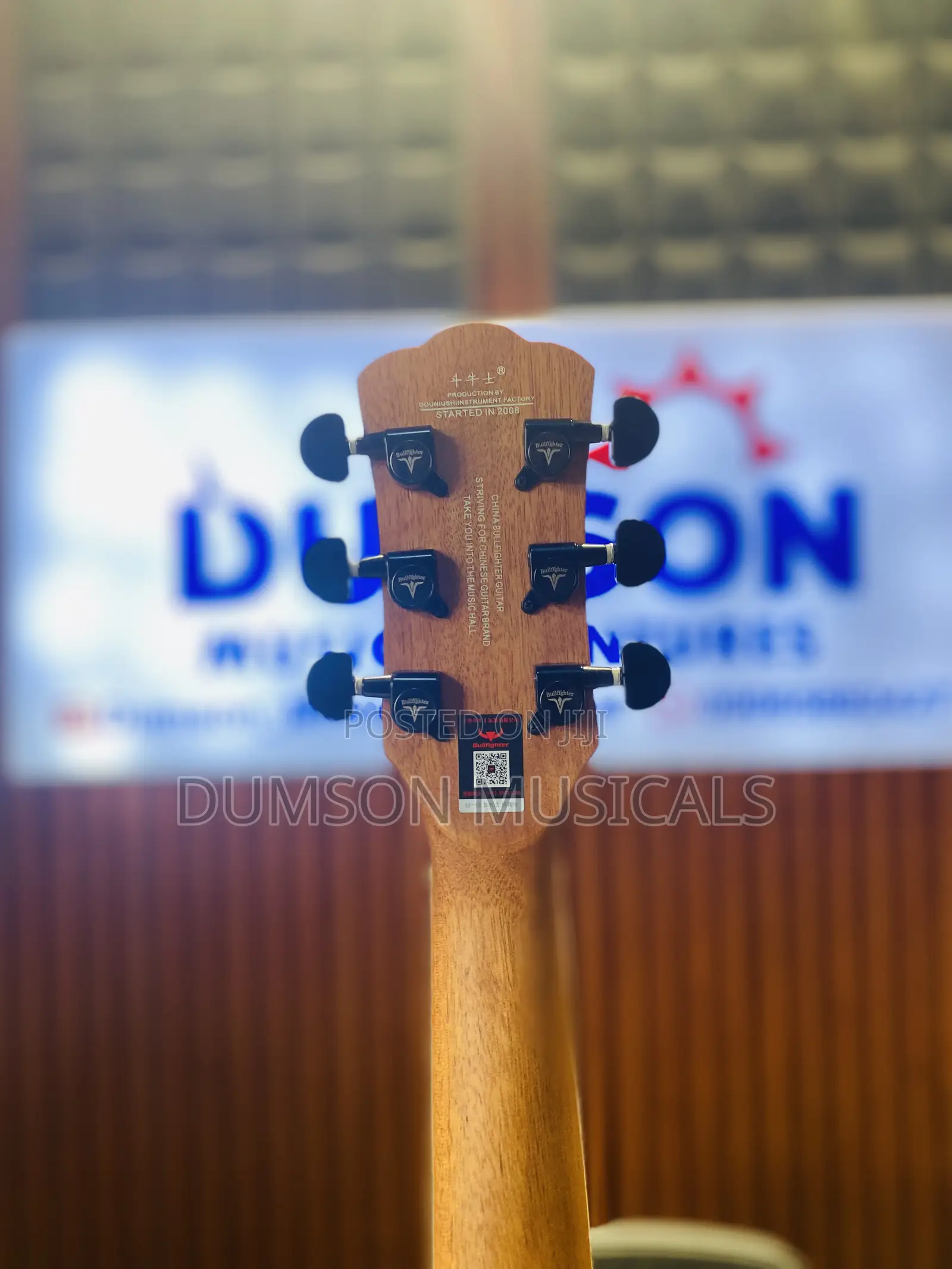 Bullfighter Electro Acoustic Guitar