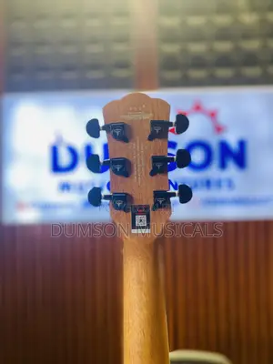Bullfighter Electro Acoustic Guitar