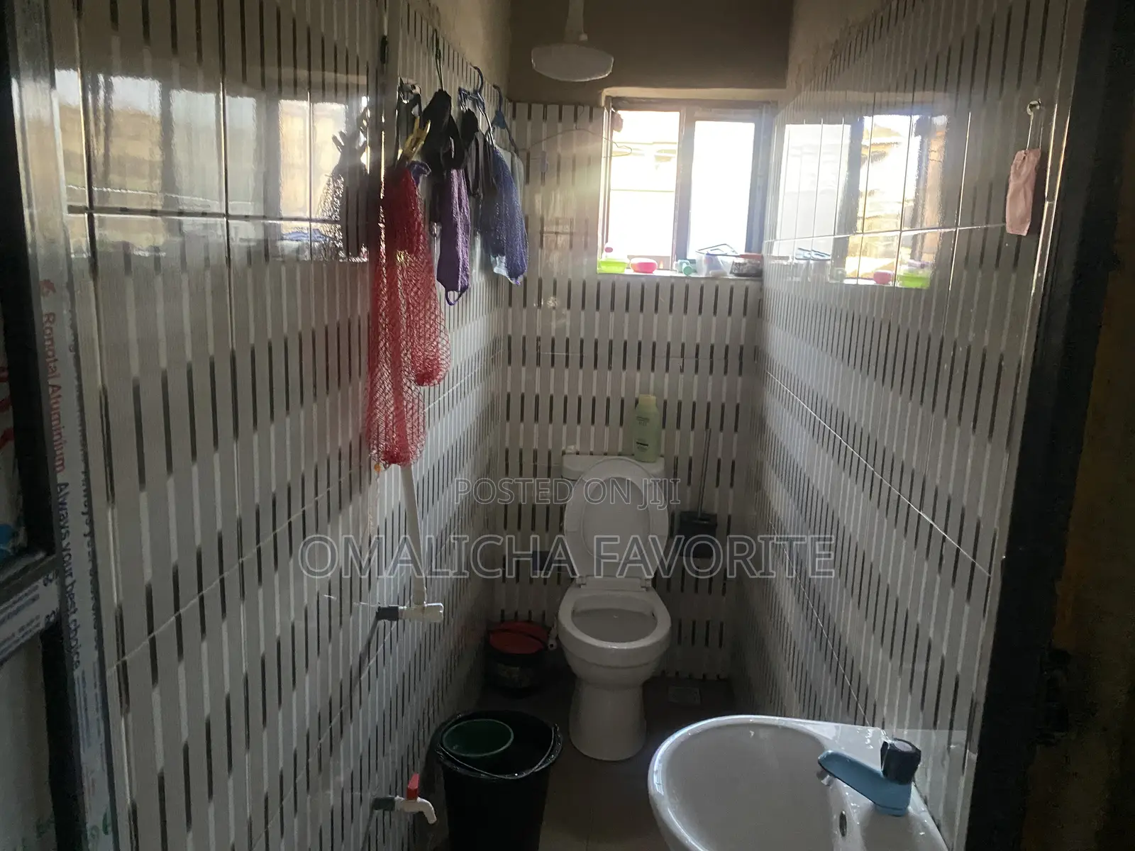 Shared Apartment