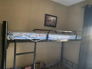 Shared Apartment