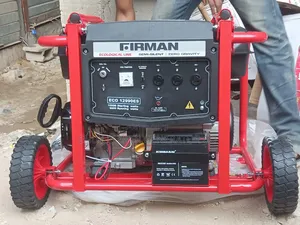 Firman Semi Silent 12990 Pure Copper Coil
