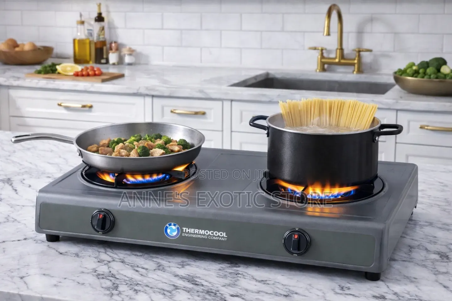 Haier Thermocool 2-Burner Table Top Gas Cooker – Auto Ignition