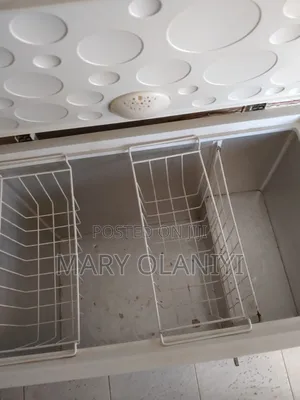 Big Thermocool Fridge