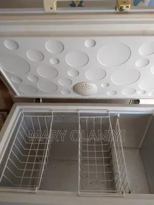 Big Thermocool Fridge