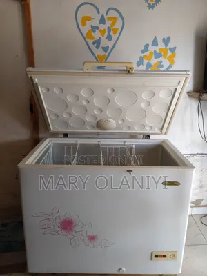 Big Thermocool Fridge