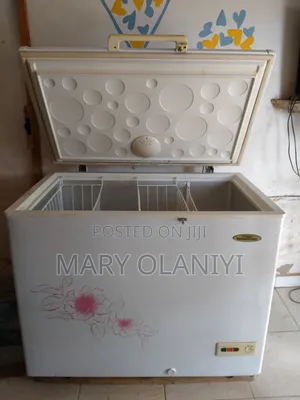 Big Thermocool Fridge