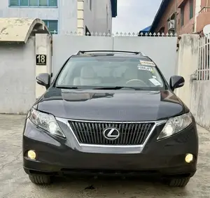 Lexus RX 350 2010 Gray