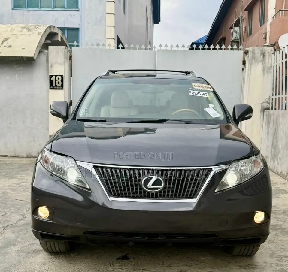 Lexus RX 350 2010 Gray