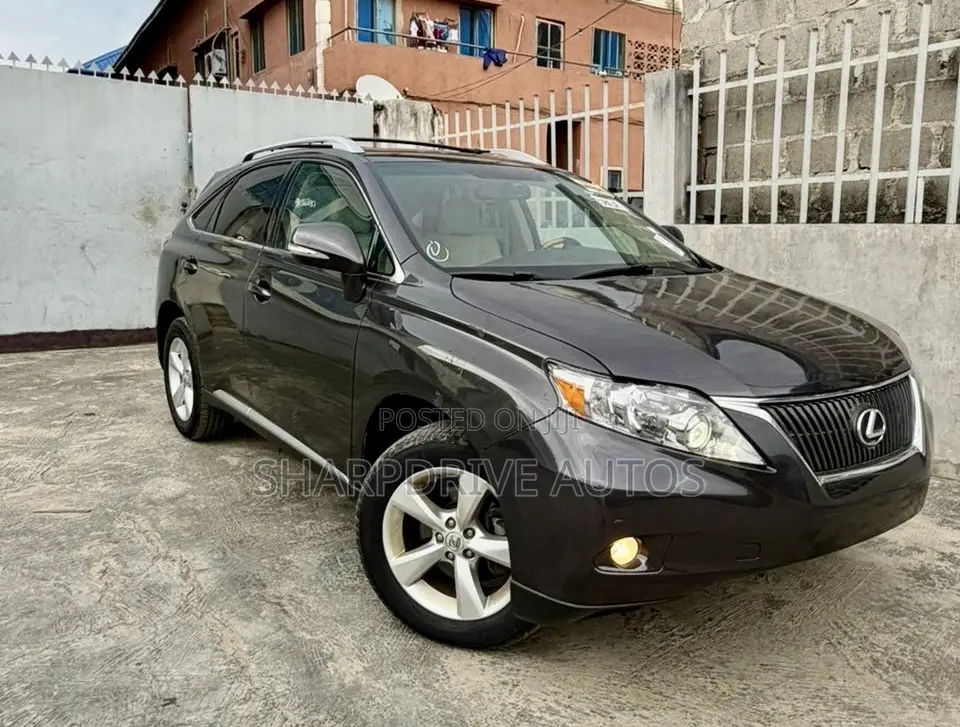 Lexus RX 350 2010 Gray
