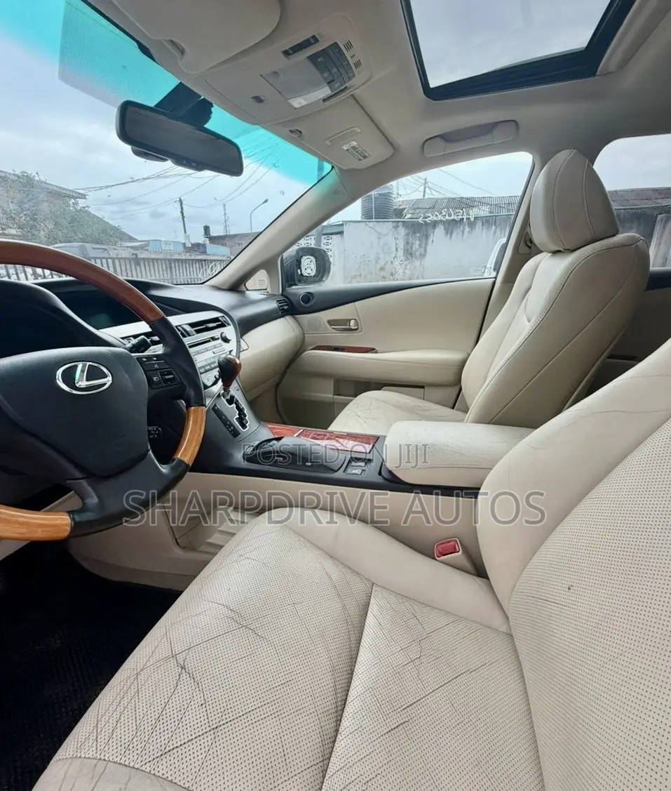 Lexus RX 350 2010 Gray