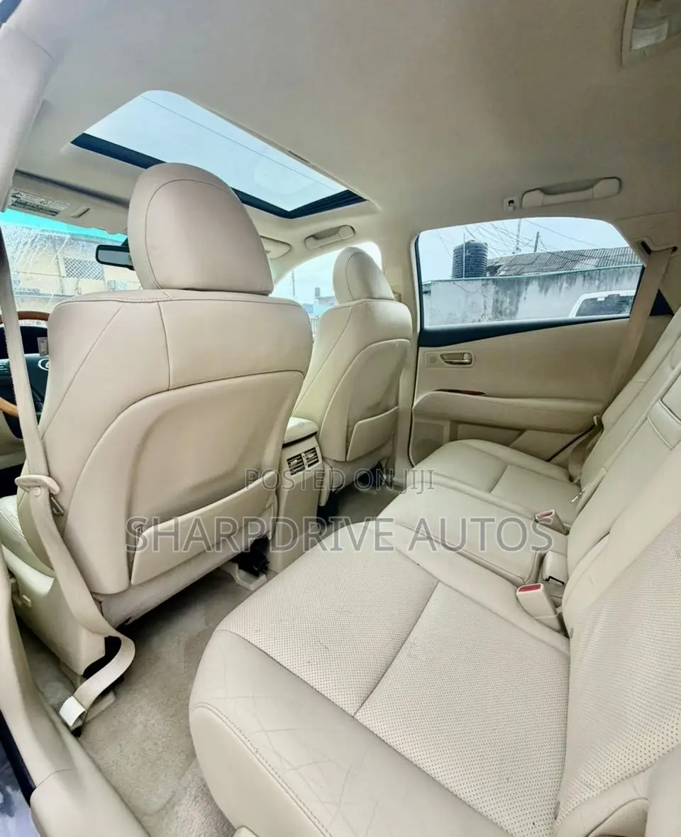 Lexus RX 350 2010 Gray