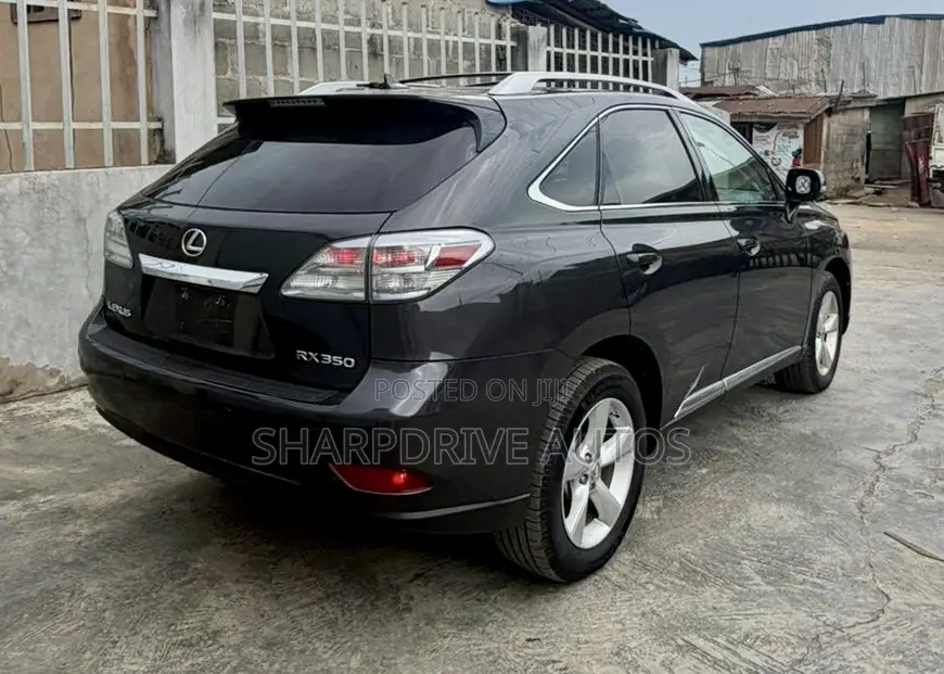 Lexus RX 350 2010 Gray