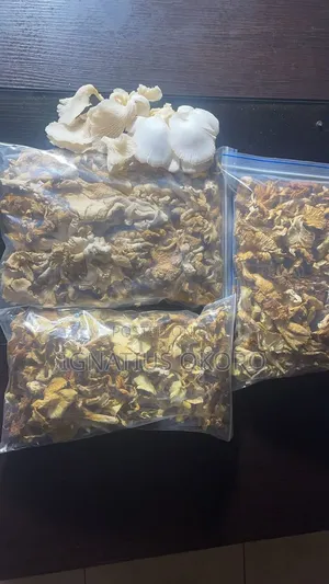 Dried Oyster Mushroom