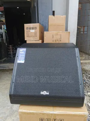 12 Inches Feedback Monitor Speaker