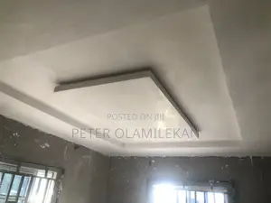 Pop Ceiling Designs and Wall Screeding